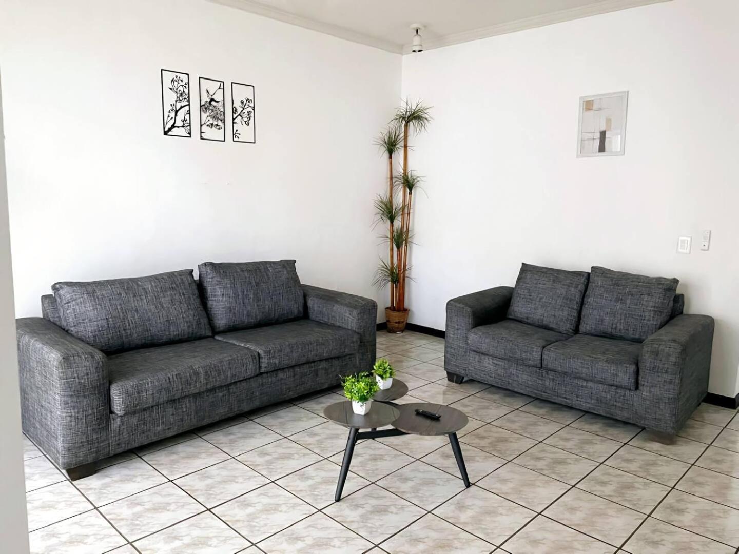 La Casa Rosa Monterrey Villa Bagian luar foto